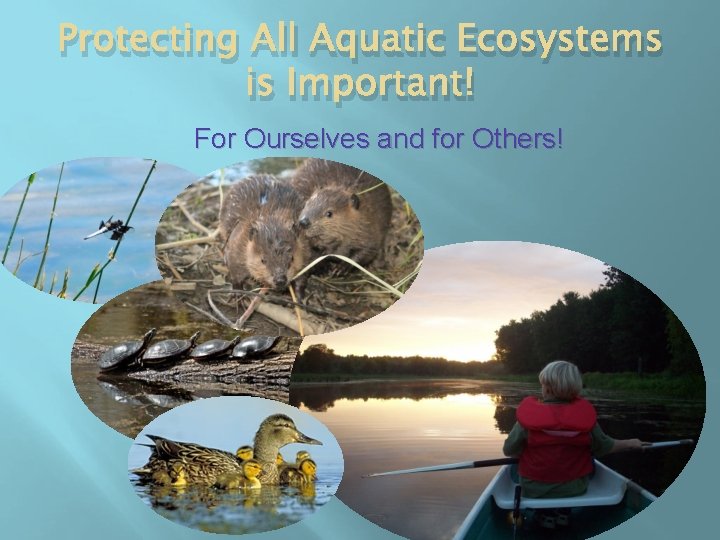 Protecting All Aquatic Ecosystems is Important! For Ourselves and for Others! 