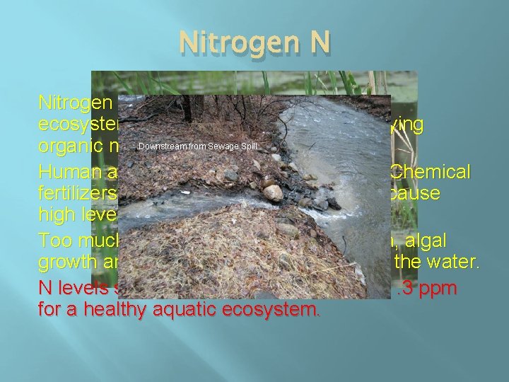 Nitrogen N Nitrogen is present naturally in aquatic ecosystems since it is a product