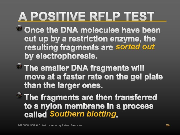 A POSITIVE RFLP TEST Once the DNA molecules have been cut up by a A POSITIVE RFLP TEST Once the DNA molecules have been cut up by a