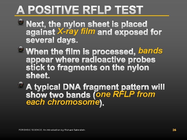 A POSITIVE RFLP TEST Next, the nylon sheet is placed against X-ray film and A POSITIVE RFLP TEST Next, the nylon sheet is placed against X-ray film and
