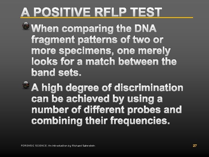 A POSITIVE RFLP TEST When comparing the DNA fragment patterns of two or more A POSITIVE RFLP TEST When comparing the DNA fragment patterns of two or more