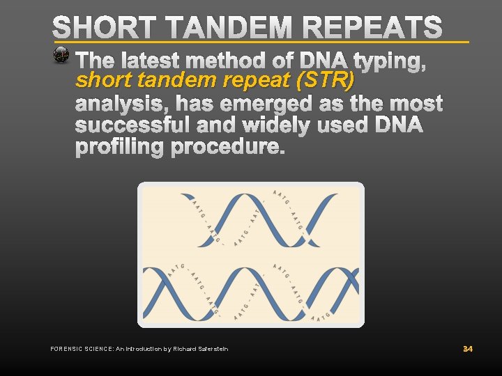 SHORT TANDEM REPEATS The latest method of DNA typing, short tandem repeat (STR) analysis, SHORT TANDEM REPEATS The latest method of DNA typing, short tandem repeat (STR) analysis,
