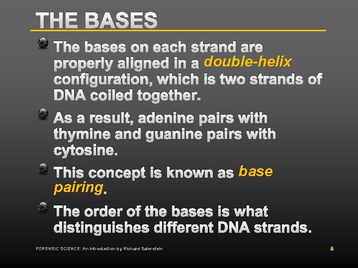 THE BASES The bases on each strand are properly aligned in a double-helix configuration, THE BASES The bases on each strand are properly aligned in a double-helix configuration,