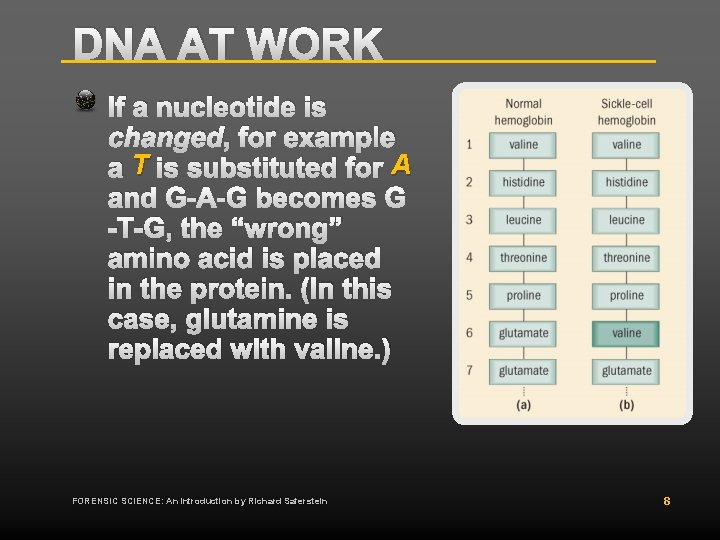 DNA AT WORK If a nucleotide is changed, for example a T is substituted DNA AT WORK If a nucleotide is changed, for example a T is substituted