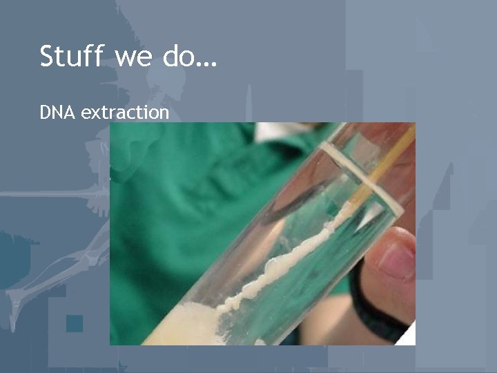 Stuff we do… DNA extraction 