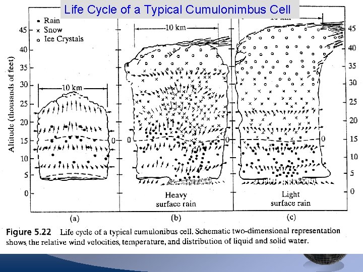 Life Cycle of a Typical Cumulonimbus Cell 