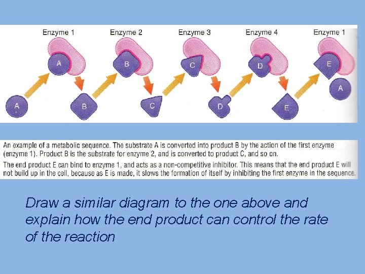 Draw a similar diagram to the one above and explain how the end product