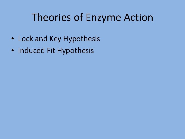 Theories of Enzyme Action • Lock and Key Hypothesis • Induced Fit Hypothesis 