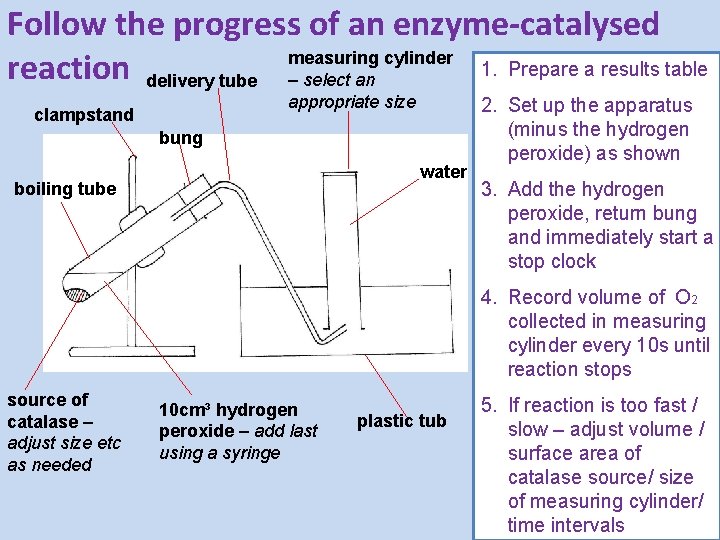 Follow the progress of an enzyme-catalysed cylinder 1. Prepare a results table reaction delivery