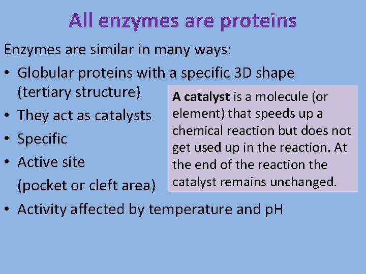 All enzymes are proteins Enzymes are similar in many ways: • Globular proteins with