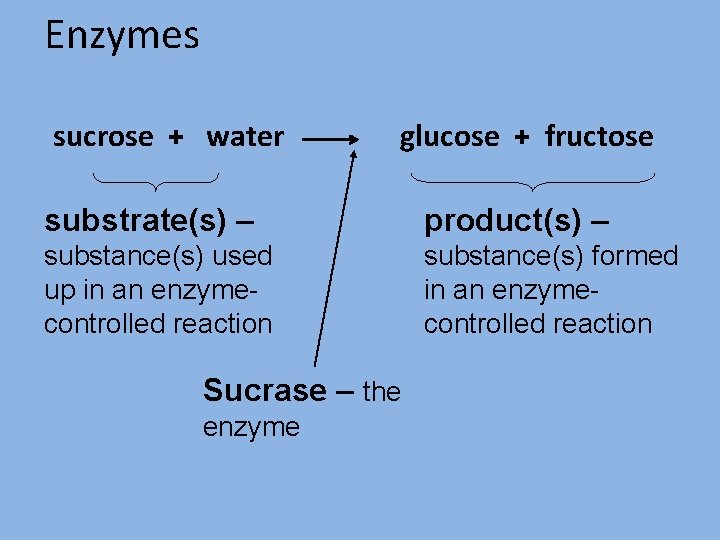 Enzymes sucrose + water glucose + fructose substrate(s) – product(s) – substance(s) used up
