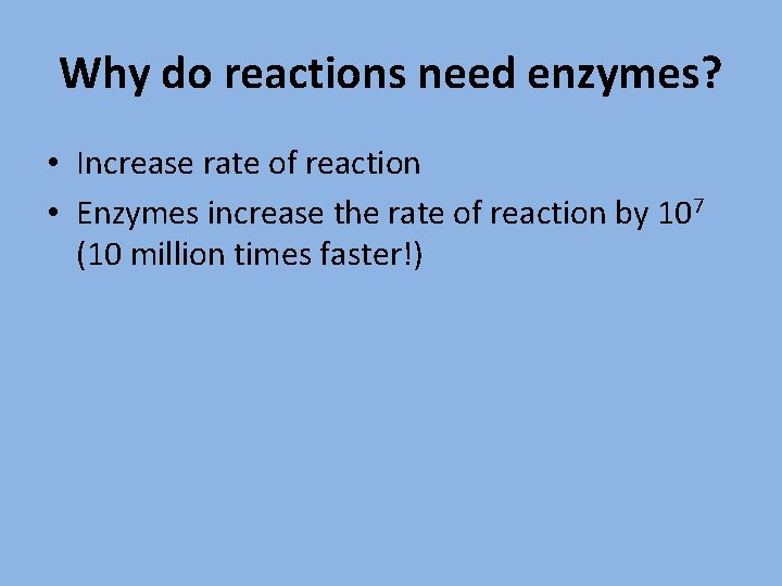 Enzymes What do you remember about enzymes Create