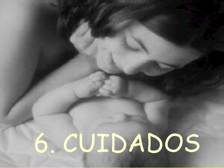 6. CUIDADOS 