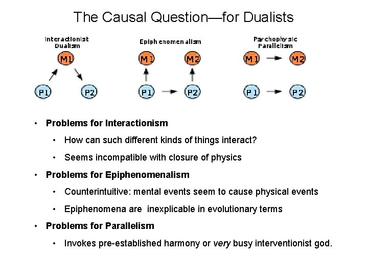 The Causal Question—for Dualists • Problems for Interactionism • How can such different kinds