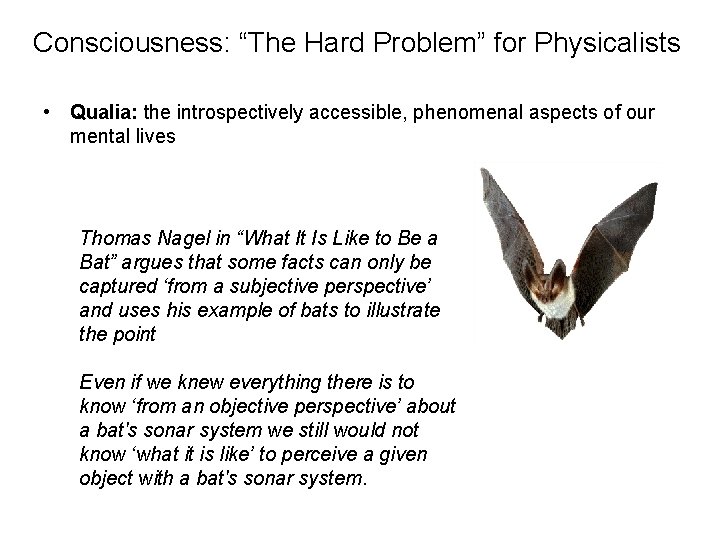 Consciousness: “The Hard Problem” for Physicalists • Qualia: the introspectively accessible, phenomenal aspects of