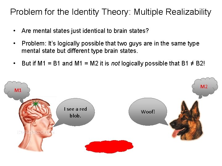 Problem for the Identity Theory: Multiple Realizability • Are mental states just identical to