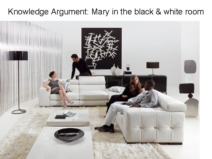 Knowledge Argument: Mary in the black & white room Mary is a brilliant scientist