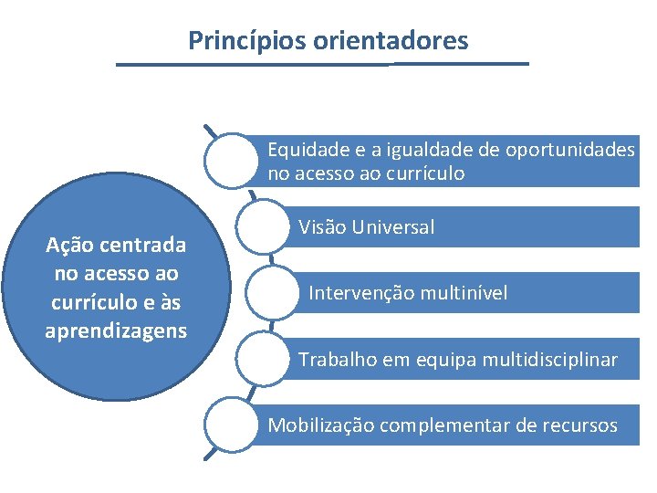 Princípios orientadores Equidade e a igualdade de oportunidades no acesso ao currículo Ação centrada