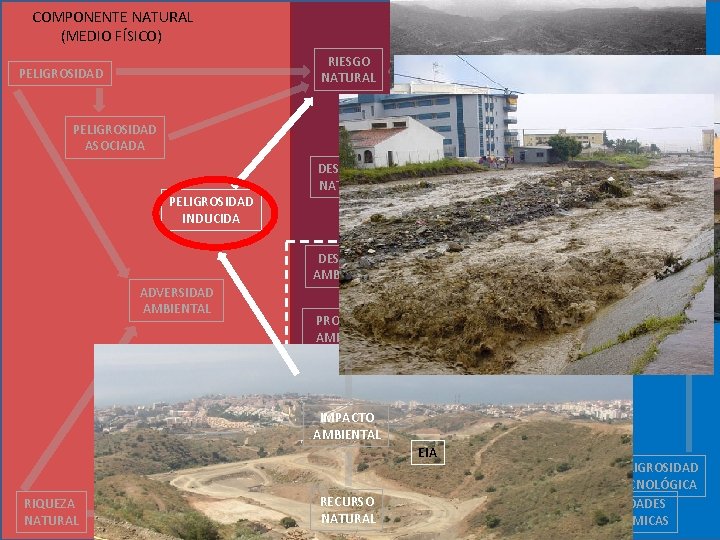  COMPONENTE NATURAL (MEDIO FÍSICO) COMPONENTE ANTROPICA (SOCIEDAD) RIESGO NATURAL PELIGROSIDAD VULNERABILIDAD GESTIÓN RIESGOS