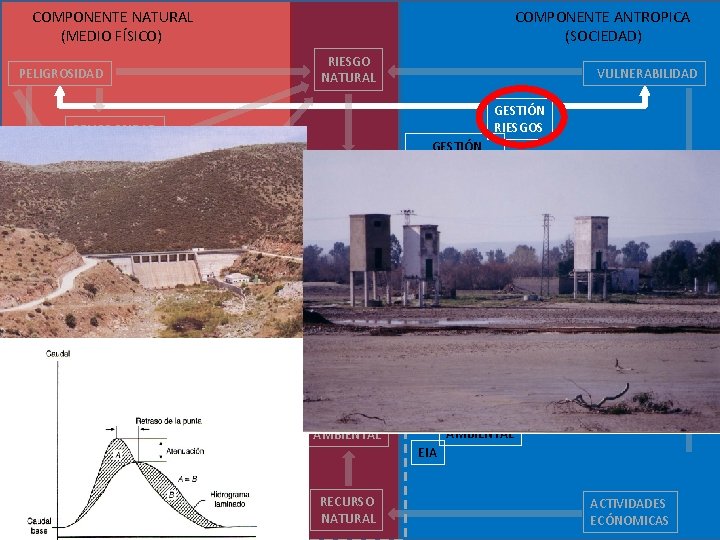  COMPONENTE NATURAL (MEDIO FÍSICO) COMPONENTE ANTROPICA (SOCIEDAD) RIESGO NATURAL PELIGROSIDAD VULNERABILIDAD GESTIÓN RIESGOS