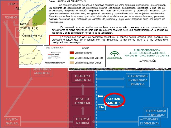  COMPONENTE NATURAL (MEDIO FÍSICO) COMPONENTE ANTROPICA (SOCIEDAD) RIESGO NATURAL PELIGROSIDAD VULNERABILIDAD GESTIÓN RIESGOS