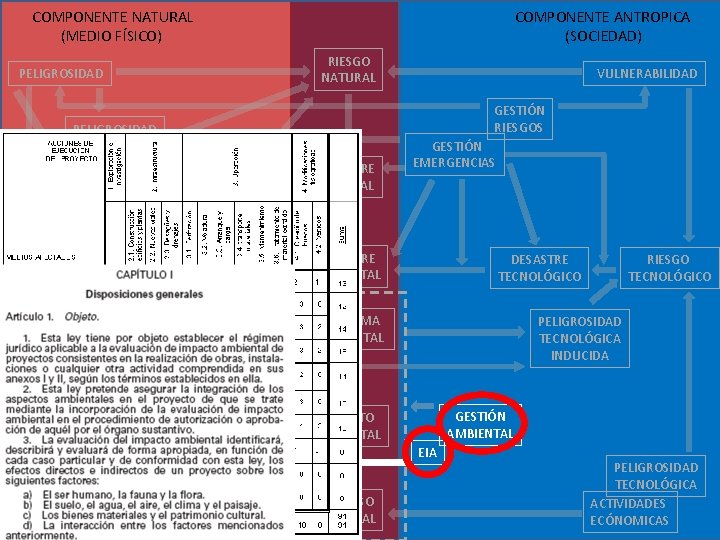  COMPONENTE NATURAL (MEDIO FÍSICO) COMPONENTE ANTROPICA (SOCIEDAD) RIESGO NATURAL PELIGROSIDAD VULNERABILIDAD GESTIÓN RIESGOS