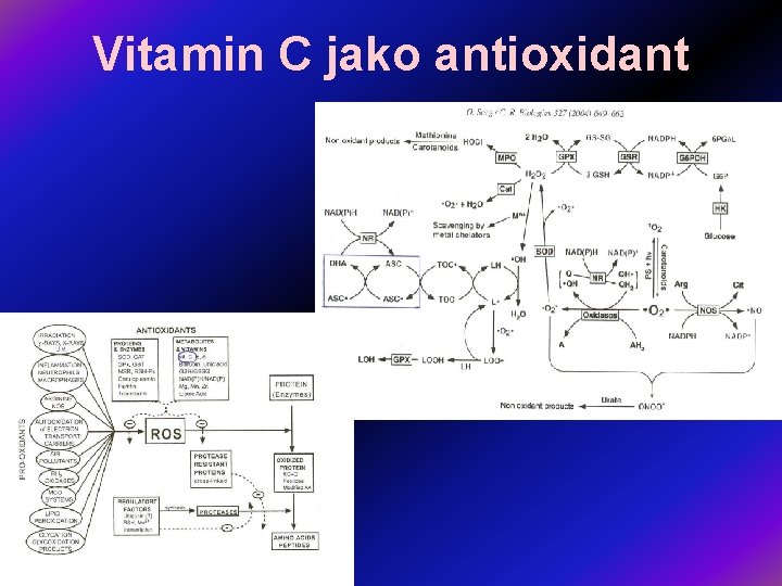 Vitamin C jako antioxidant 