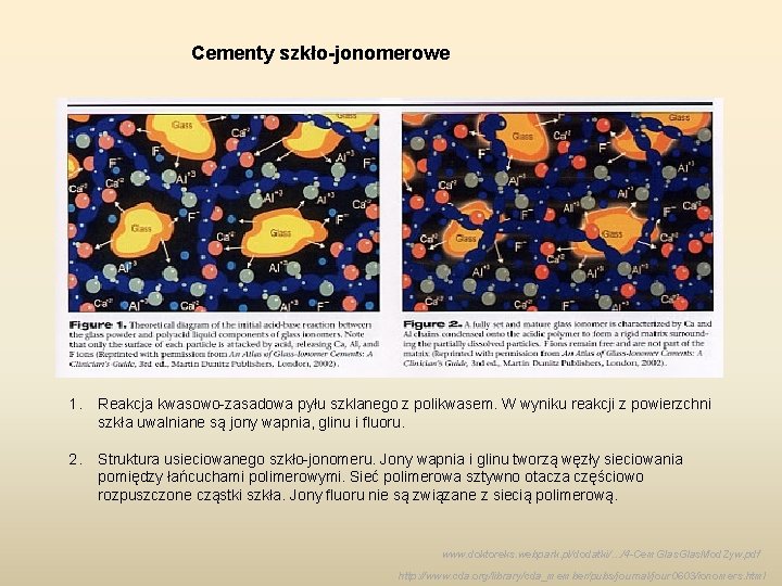 Cementy szkło-jonomerowe 1. Reakcja kwasowo-zasadowa pyłu szklanego z polikwasem. W wyniku reakcji z powierzchni