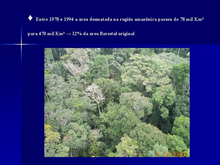 ♦ Entre 1978 e 1994 a área desmatada na região amazônica passou de 78