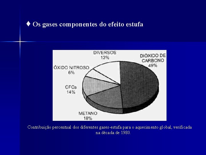 ♦ Os gases componentes do efeito estufa Contribuição percentual dos diferentes gases-estufa para o