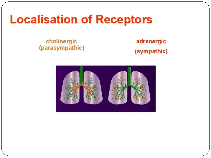 Localisation of Receptors cholinergic (parasympathic) adrenergic (sympathic) 