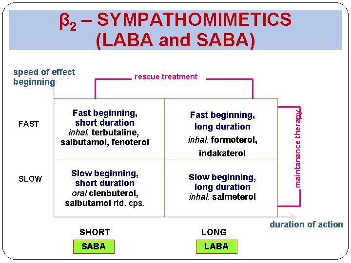 β 2 – SYMPATHOMIMETICS (LABA and SABA) speed of effect beginning Fast beginning, short