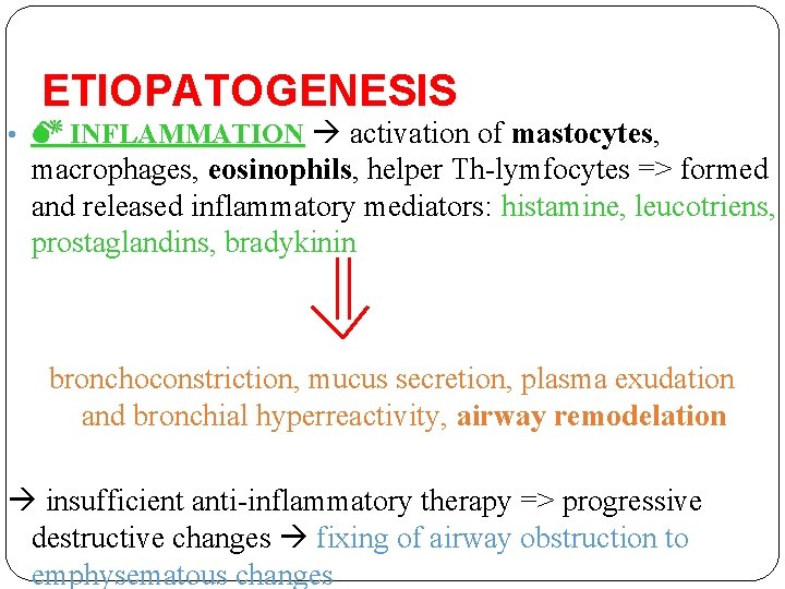 ETIOPATOGENESIS • INFLAMMATION activation of mastocytes, macrophages, eosinophils, helper Th-lymfocytes => formed and released