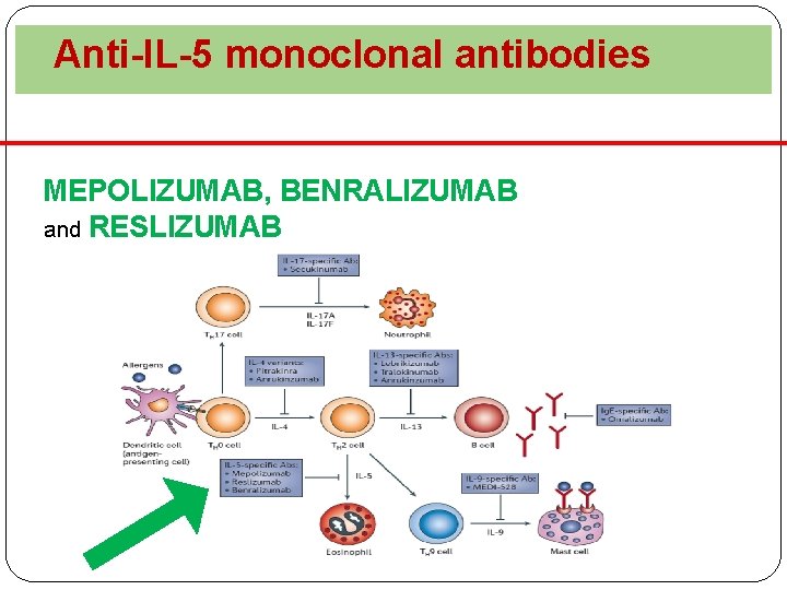  Anti-IL-5 monoclonal antibodies MEPOLIZUMAB, BENRALIZUMAB and RESLIZUMAB 