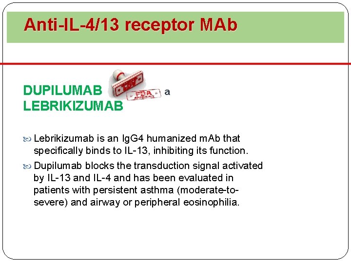  Anti-IL-4/13 receptor MAb DUPILUMAB a LEBRIKIZUMAB Lebrikizumab is an Ig. G 4 humanized