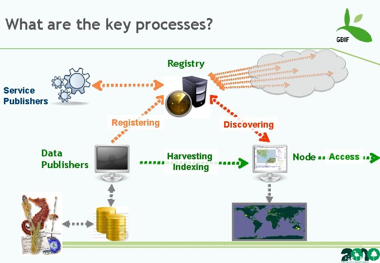 What are the key processes? Registry Service Publishers Registering Data Publishers Discovering Harvesting Indexing