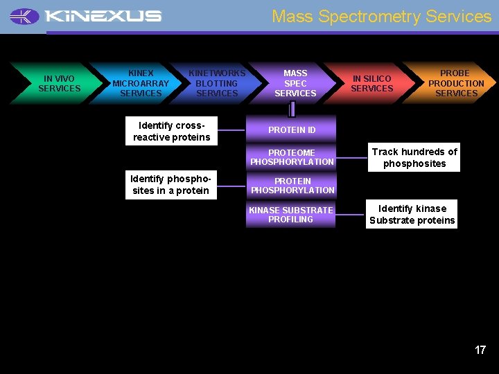 Mass Spectrometry Services IN VIVO SERVICES KINEX MICROARRAY SERVICES KINETWORKS BLOTTING SERVICES Identify crossreactive