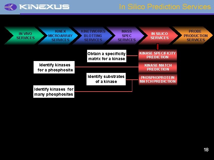 In Silico Prediction Services IN VIVO SERVICES KINEX MICROARRAY SERVICES KINETWORKS BLOTTING SERVICES MASS