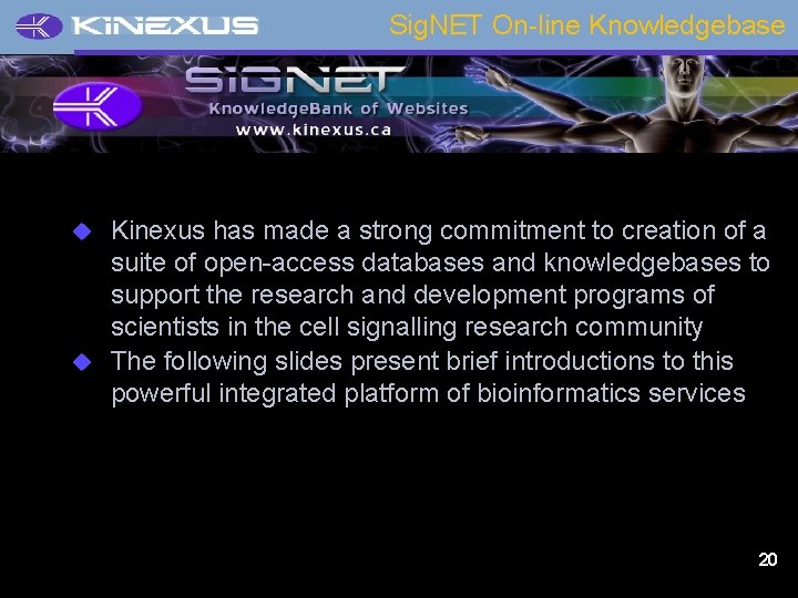 Sig. NET On-line Knowledgebase Kinexus has made a strong commitment to creation of a