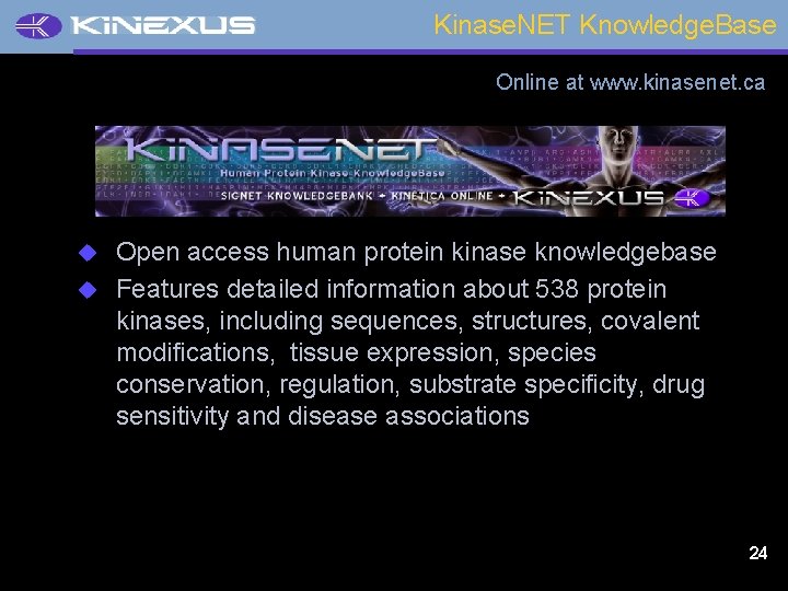 Kinase. NET Knowledge. Base Online at www. kinasenet. ca Open access human protein kinase