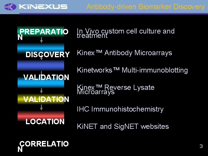 Antibody-driven Biomarker Discovery PREPARATIO N In Vivo custom cell culture and treatment DISCOVERY Kinex™