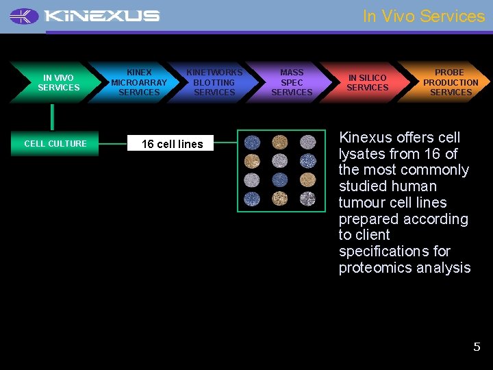 In Vivo Services IN VIVO SERVICES CELL CULTURE KINEX MICROARRAY SERVICES KINETWORKS BLOTTING SERVICES