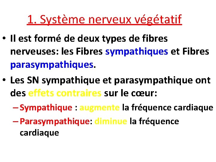 1. Système nerveux végétatif • Il est formé de deux types de fibres nerveuses: