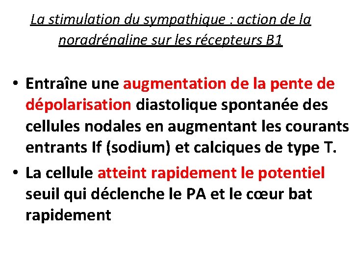 La stimulation du sympathique : action de la noradrénaline sur les récepteurs B 1