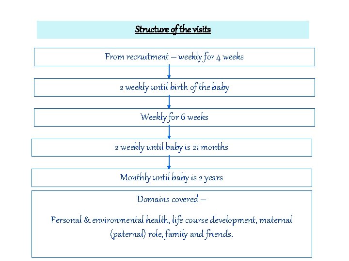 Structure of the visits From recruitment – weekly for 4 weeks 2 weekly until