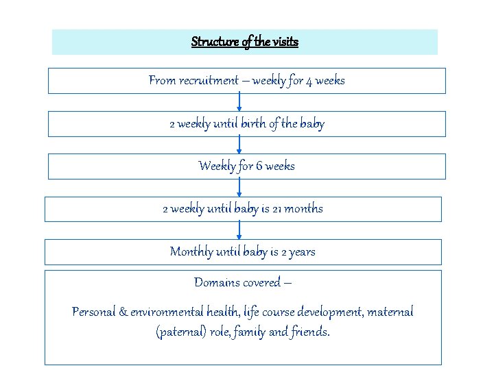 Structure of the visits From recruitment – weekly for 4 weeks 2 weekly until