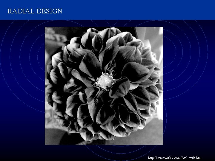 RADIAL DESIGN http: //www. artlex. com/Art. Lex/R. htm 