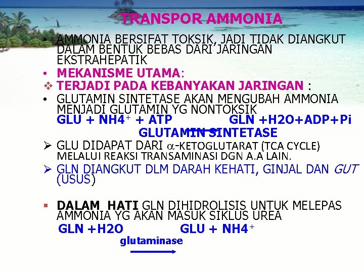 TRANSPOR AMMONIA • AMMONIA BERSIFAT TOKSIK, JADI TIDAK DIANGKUT DALAM BENTUK BEBAS DARI JARINGAN
