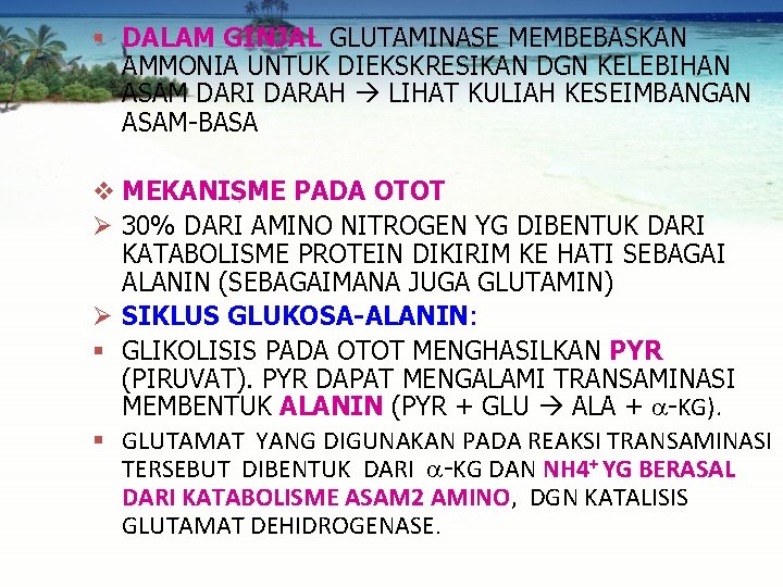 § DALAM GINJAL GLUTAMINASE MEMBEBASKAN AMMONIA UNTUK DIEKSKRESIKAN DGN KELEBIHAN ASAM DARI DARAH LIHAT