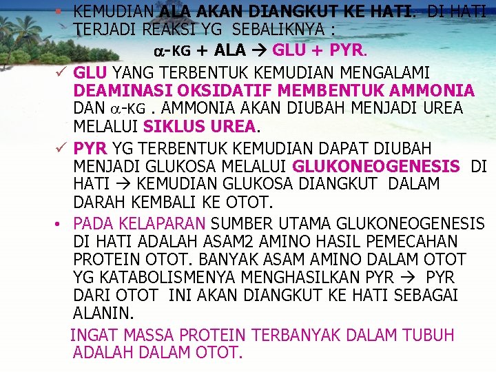 § KEMUDIAN ALA AKAN DIANGKUT KE HATI. DI HATI TERJADI REAKSI YG SEBALIKNYA :